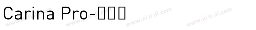 Carina Pro字体转换